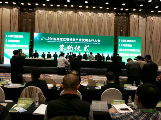 仟億達(dá)831999碳交易業(yè)界影響力較強(qiáng)，副總田衛(wèi)然接受黑龍江廣播電視臺(tái)采訪