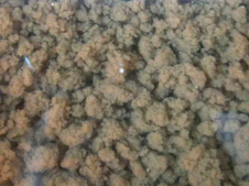 污泥、活性污泥粒狀顆粒