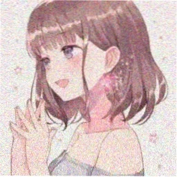 追番少女